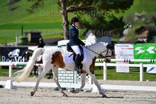 ref. photo 3091696
