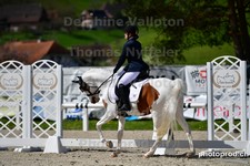ref. photo 3091699
