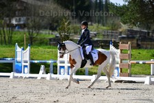 ref. photo 3091701