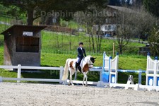 ref. photo 3091705