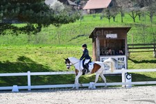 ref. photo 3091708