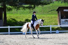 ref. photo 3091709