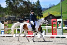 ref. photo 3091710