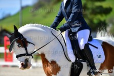 ref. photo 3091712