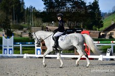 ref. photo 3091731
