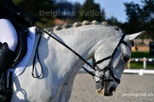ref. photo 3091740