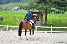 ref. photo 3091800