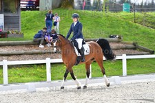 ref. photo 3091803