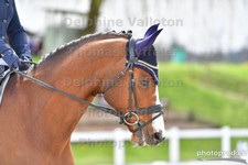 ref. photo 3091804