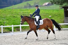 ref. photo 3091810
