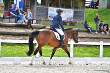 ref. photo 3091816