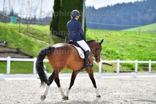 ref. photo 3091821
