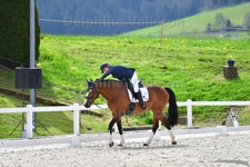 ref. photo 3091825