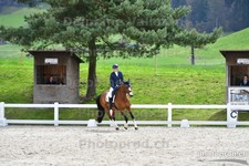 ref. photo 3091845