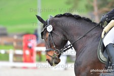 ref. photo 3091945
