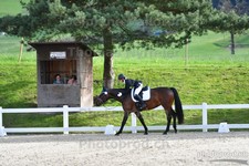 ref. photo 3092026