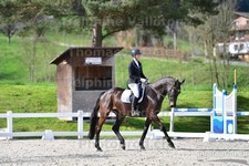 ref. photo 3092031
