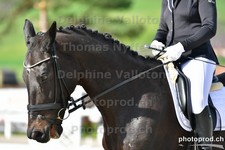 ref. photo 3092049