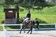 ref. photo 3092070