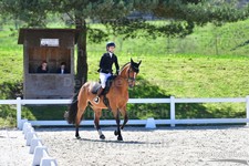 ref. photo 3092098