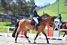 ref. photo 3092101