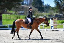 ref. photo 3092108