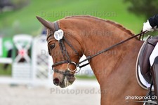 ref. photo 3092182