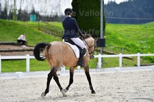 ref. photo 3092291
