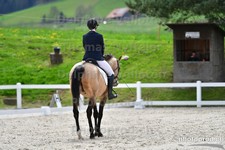 ref. photo 3092292