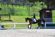 ref. photo 3092312