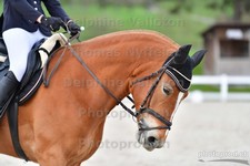ref. photo 3092933