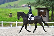 ref. photo 3093000