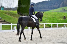 ref. photo 3093012