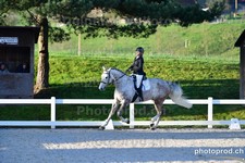 ref. photo 3093066