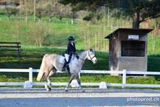 ref. photo 3093071