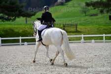 ref. photo 3093102