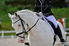 ref. photo 3093124