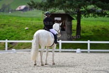 ref. photo 3093126