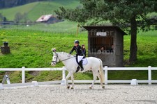 ref. photo 3093128