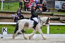 ref. photo 3093149