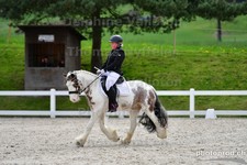 ref. photo 3093161