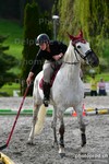 ref. photo 3093454