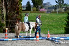 ref. photo 3093544