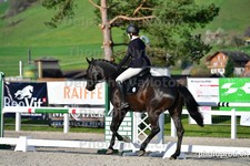 ref. photo 3094009
