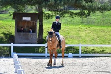 ref. photo 3094029