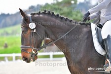 ref. photo 3094127