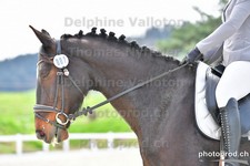 ref. photo 3094144