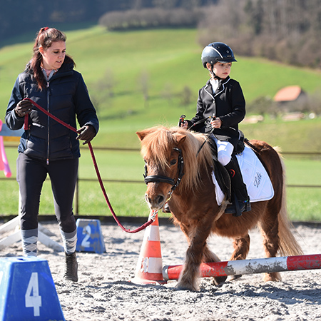 Dressur und Gymkhana Hasle 2025
