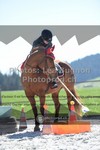 ref. photo 3548938