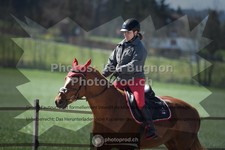 ref. photo 3548941